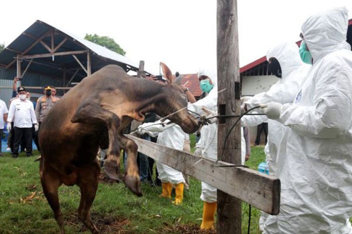 Target, PMK Nol Kasus Akhir 2022