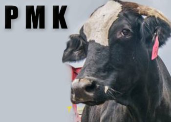 PMK Pada Ternak Bisa Dikendalikan