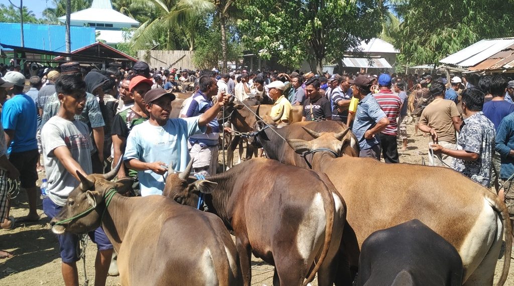 PMK di Jabar Terkendali, Tetap Harus Miliki SKKH