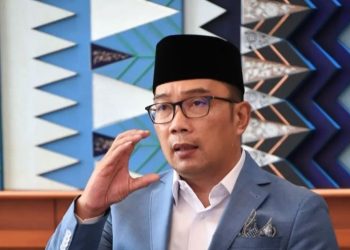 Bahas PMK, Emil Sebut Beberapa Daerah Perlu Perhatian