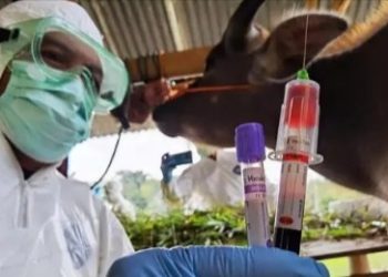 Jabar Alami Keterlambatan Distribusi Vaksin