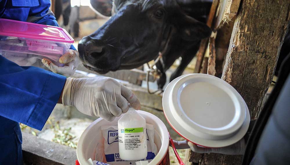 Satgas PMK Dorong Pengadaan Vaksin Swasta