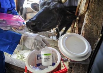 Satgas PMK Dorong Pengadaan Vaksin Swasta