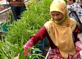 Atasi Krisis Pangan dan Kerusakan Lingkungan, Matakota Ajak Warga Kota Bertani