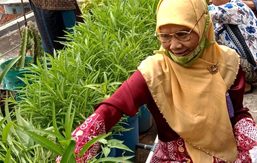 Atasi Krisis Pangan dan Kerusakan Lingkungan, Matakota Ajak Warga Kota Bertani