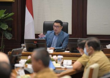 Petani Program Desa Digital Jadi Direktur Utama Pertanian Modern Dulu disubsidi, sekarang berdikari