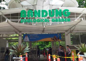 Bandung zoo