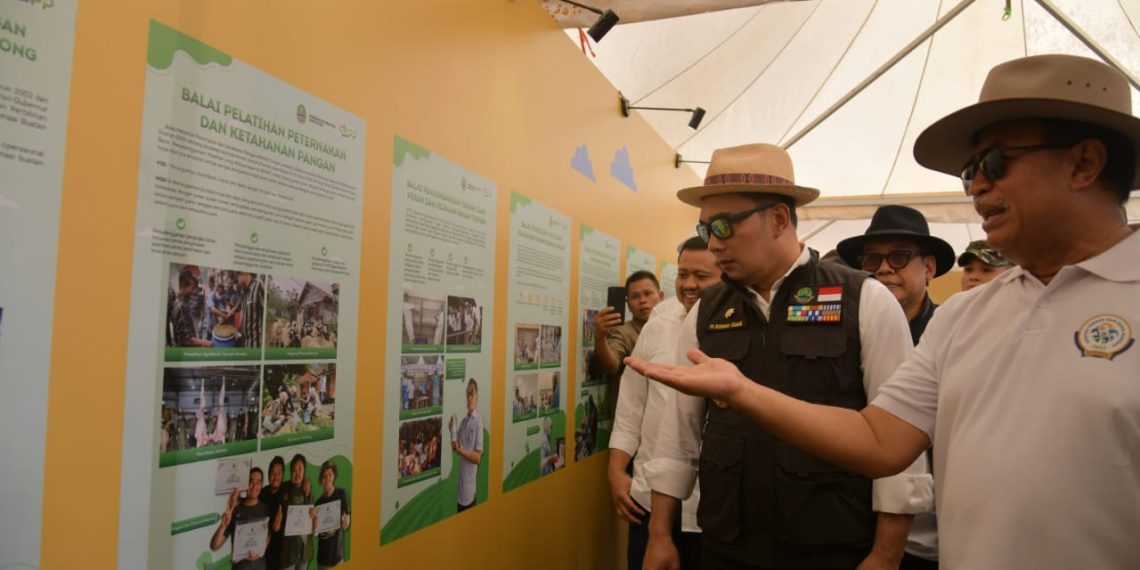 Kontes Ternak dan Expo Pangan Hadirkan Inovasi Teknologi Produksi Pangan