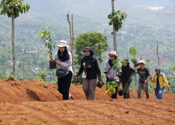 Yayasan Odesa Anggap Krisis KBU Akibat Kesalahan Pemerintah