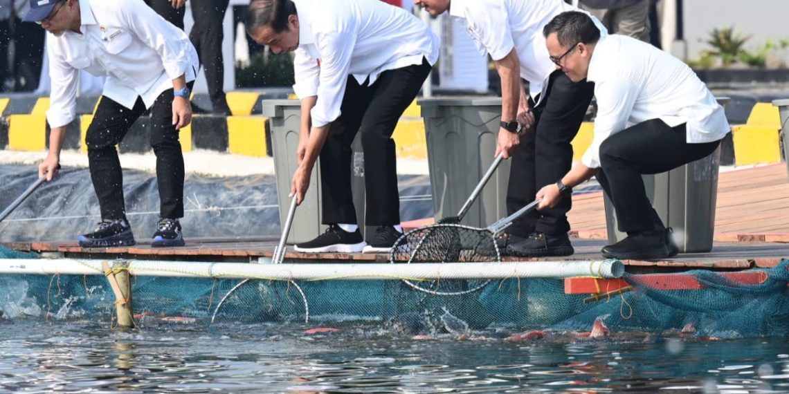 Permintaan Pasar Dunia Tinggi, Jokowi Resmikan Modeling Budidaya Ikan Nila Salin
