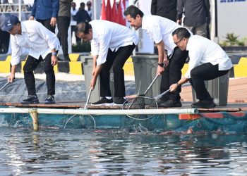 Permintaan Pasar Dunia Tinggi, Jokowi Resmikan Modeling Budidaya Ikan Nila Salin