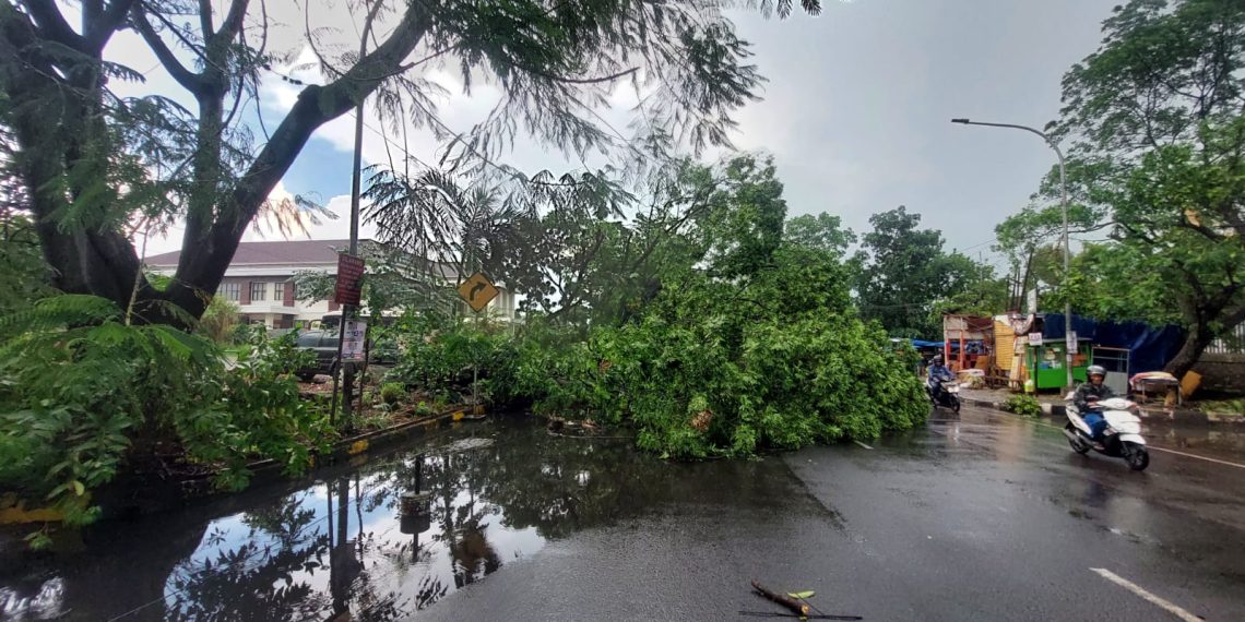 Puluhan Pohon Tumbang, Hujan Es dan Angin Kencang Terjang Kota Cimahi