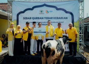 CEO GSP Property Ariansyah Eka Saputra menyerahkan sapi kurban melalui Partai Golkar Kabupaten Bandung Barat.